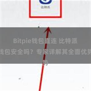 Bitpie钱包直连 比特派钱包安全吗？专家详解其全面优势