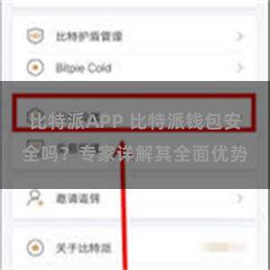 比特派APP 比特派钱包安全吗？专家详解其全面优势