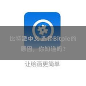 比特派中文 选择Bitpie的原因，你知道吗？