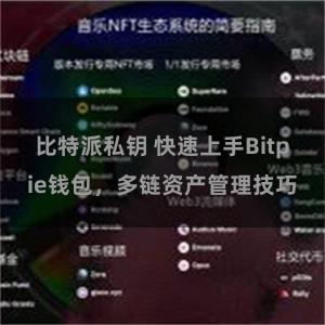 比特派私钥 快速上手Bitpie钱包，多链资产管理技巧