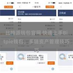 比特派钱包官网 快速上手Bitpie钱包，多链资产管理技巧