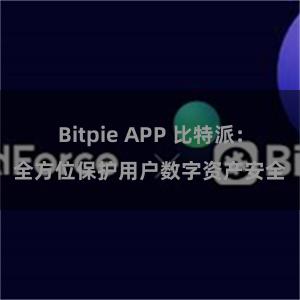 Bitpie APP 比特派：全方位保护用户数字资产安全