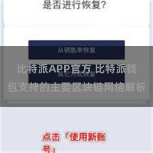 比特派APP官方 比特派钱包支持的主要区块链网络解析