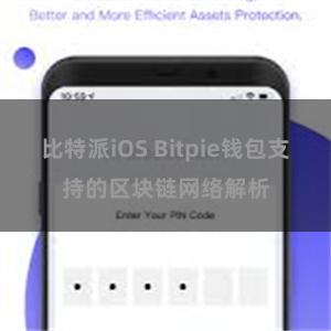 比特派iOS Bitpie钱包支持的区块链网络解析