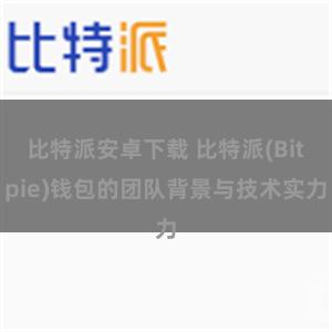 比特派安卓下载 比特派(Bitpie)钱包的团队背景与技术实力