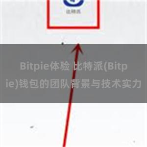 Bitpie体验 比特派(Bitpie)钱包的团队背景与技术实力