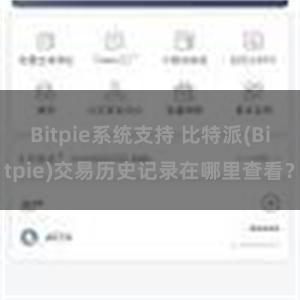 Bitpie系统支持 比特派(Bitpie)交易历史记录在哪里查看？