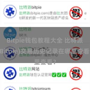 Bitpie钱包教程大全 比特派(Bitpie)交易历史记录在哪里查看？