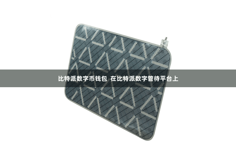 比特派数字币钱包  在比特派数字管待平台上